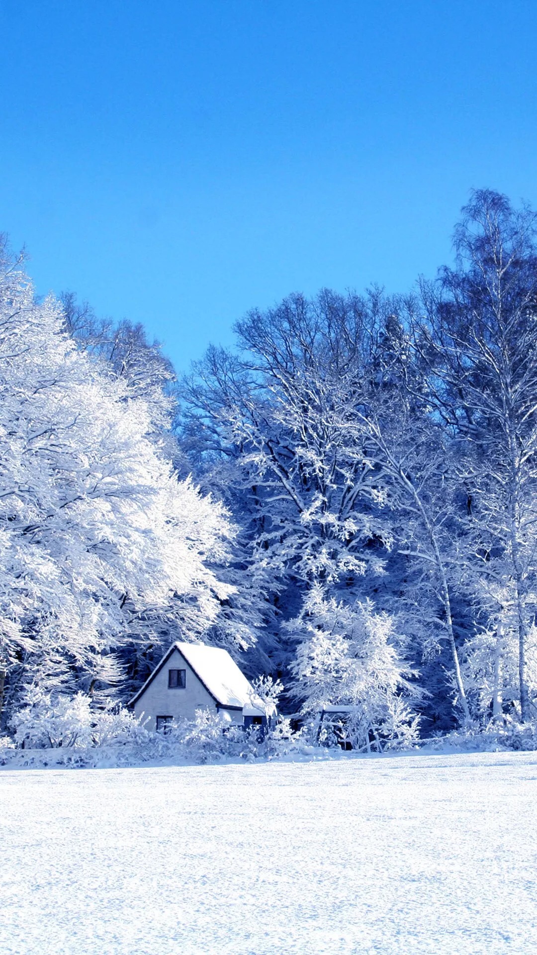 超美雪景手机屏保,壁纸:辽宁不下雪,只能看美景已解相思之情