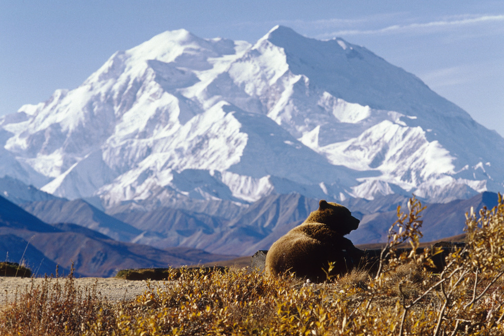 除了郑州浮戏山雪花洞景区,denali麦金莱山以外,这些非常优美的景点你