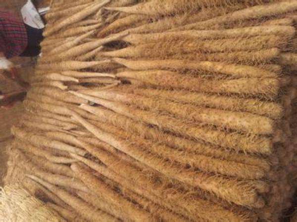 菜山药多少钱 - 2020年最新商品信息聚合专区 - 百度爱采购