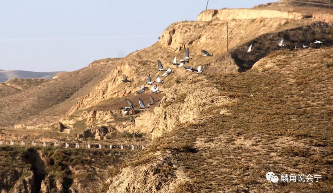 会宁土高山上绽放《灵魂的花朵》