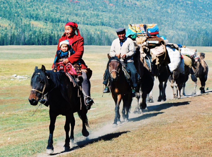 新疆阿勒泰的哈萨克族牧民赶着羊群转场.很多羊.