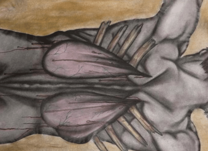 维京人发明的"血鹰之刑"到底有恐怖?受刑者很痛苦,比凌迟残忍