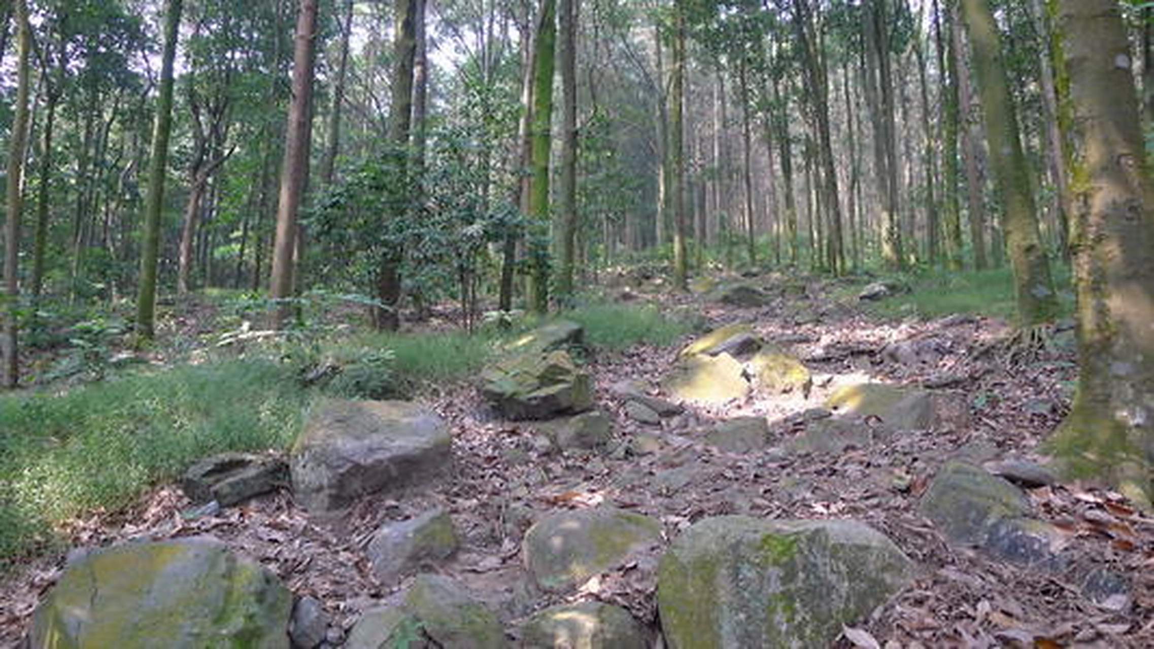 旅游攻略# 青牛谷漂流:在贵港好玩的地方排行榜中青牛谷漂流是档刎