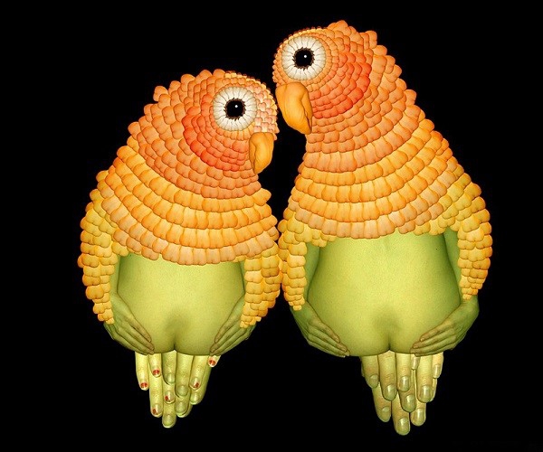 搞笑趣图,加拿大摄影师用上千模特照片合成动物影像!