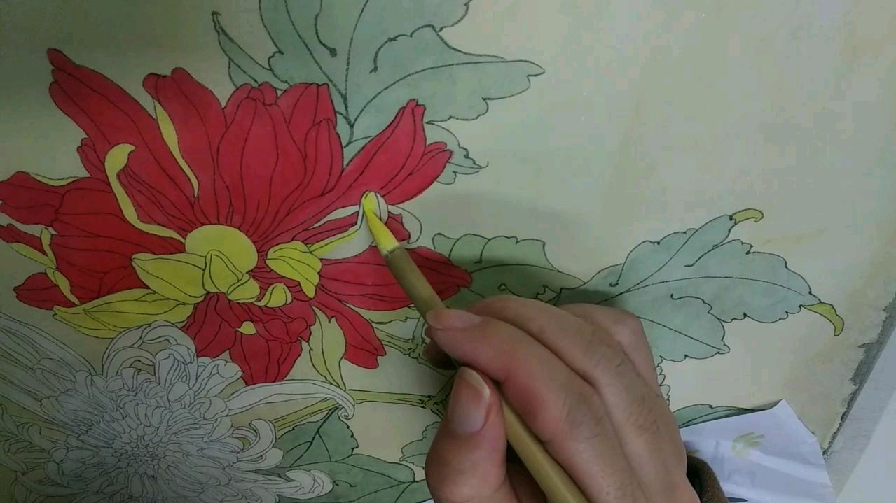 初学工笔画:工笔小强和你一起绘制四君子菊(双色花平涂)