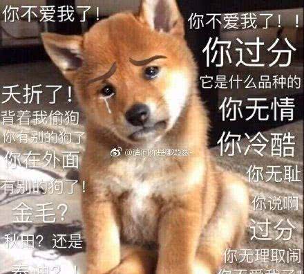沙雕表情包:狗蛋在土里不敢说话