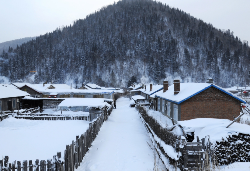 黑龙江牡丹江双峰林场是中国冬季最美的地方,被誉为"中国雪乡"