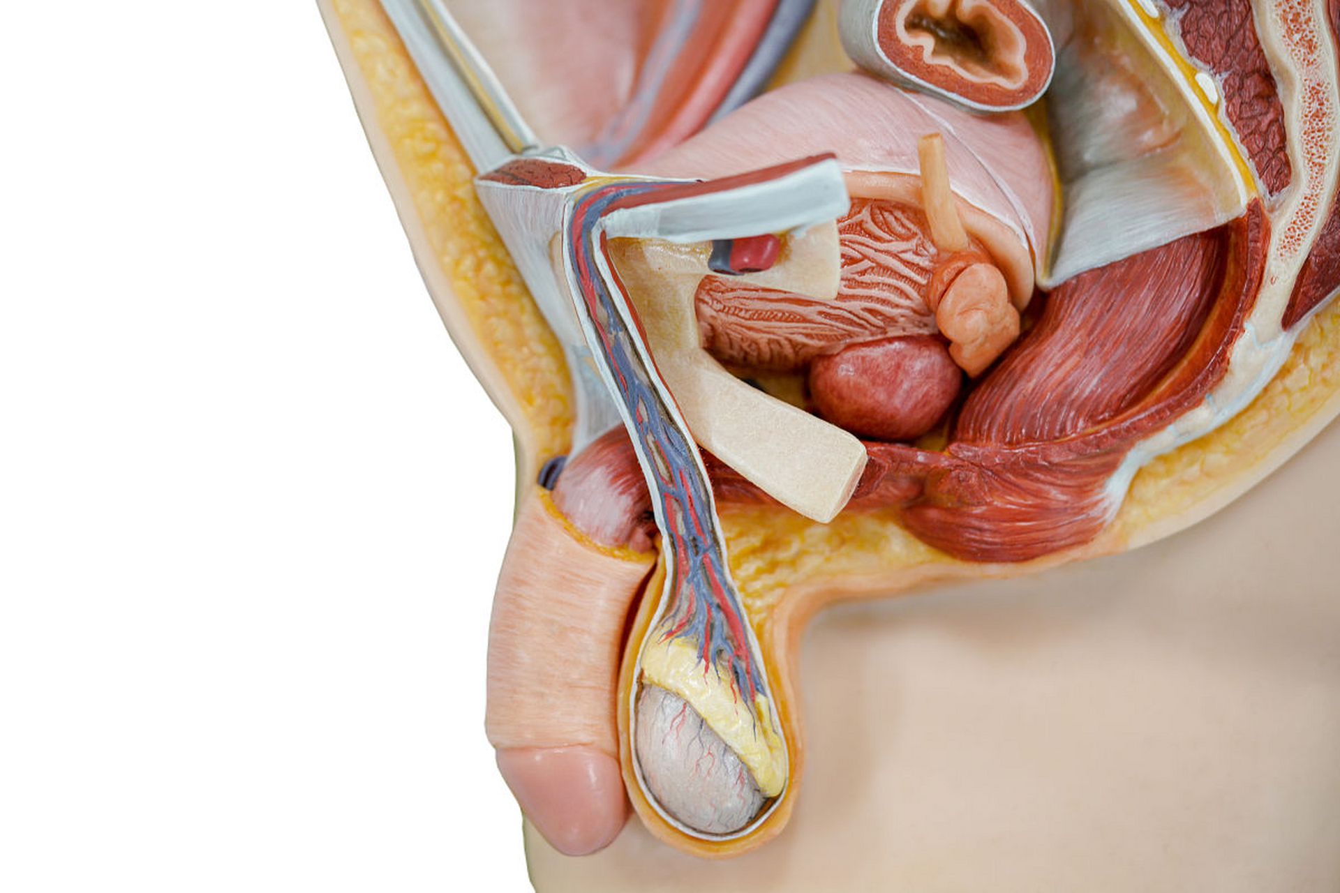 男人得疝气的原因有很多.