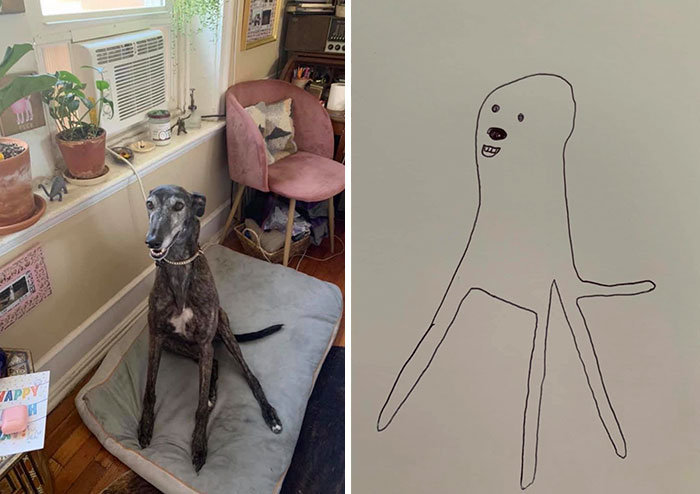 灵魂画手笔下的狗狗,看完只想问一句:你画的莫不是条假狗?