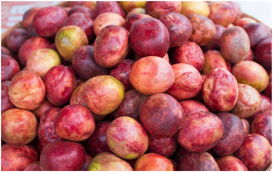 大香果 - 2020年最新商品信息聚合专区 - 百度爱采购