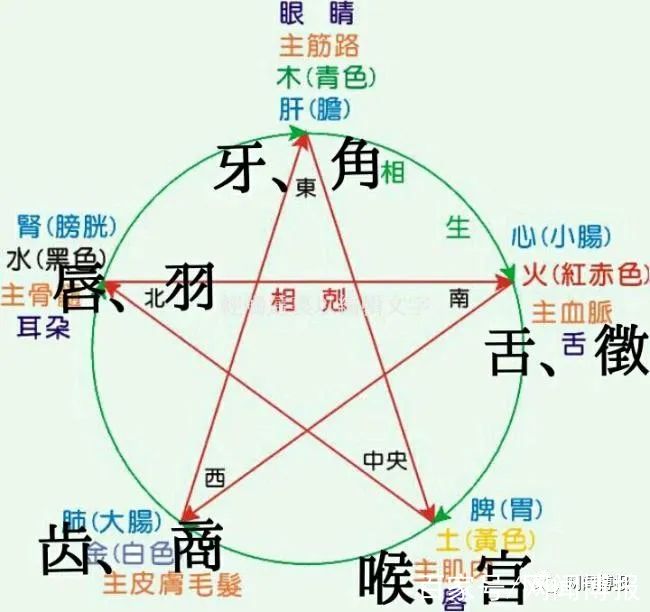 自我康療20:解讀《黃帝內經·素問·三部九候論》