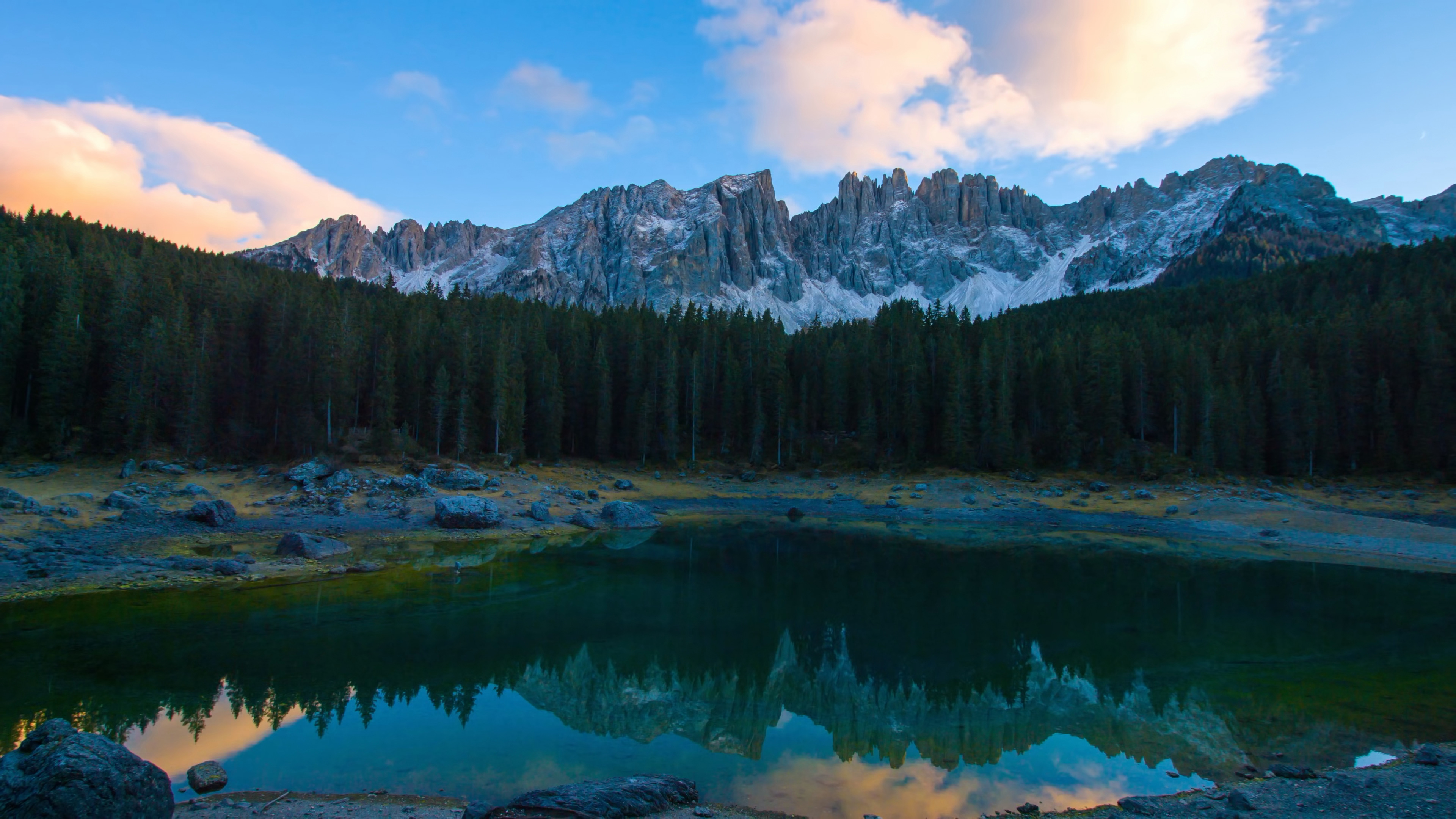 茂盛的树林 转载自百家号作者:看风景看图集