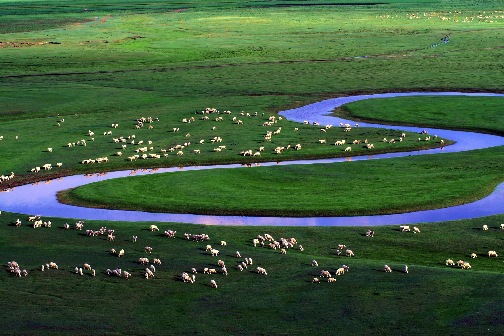 河北的坝上草原清凉宜人,水草丰茂,富饶美丽,是度假的首选之地