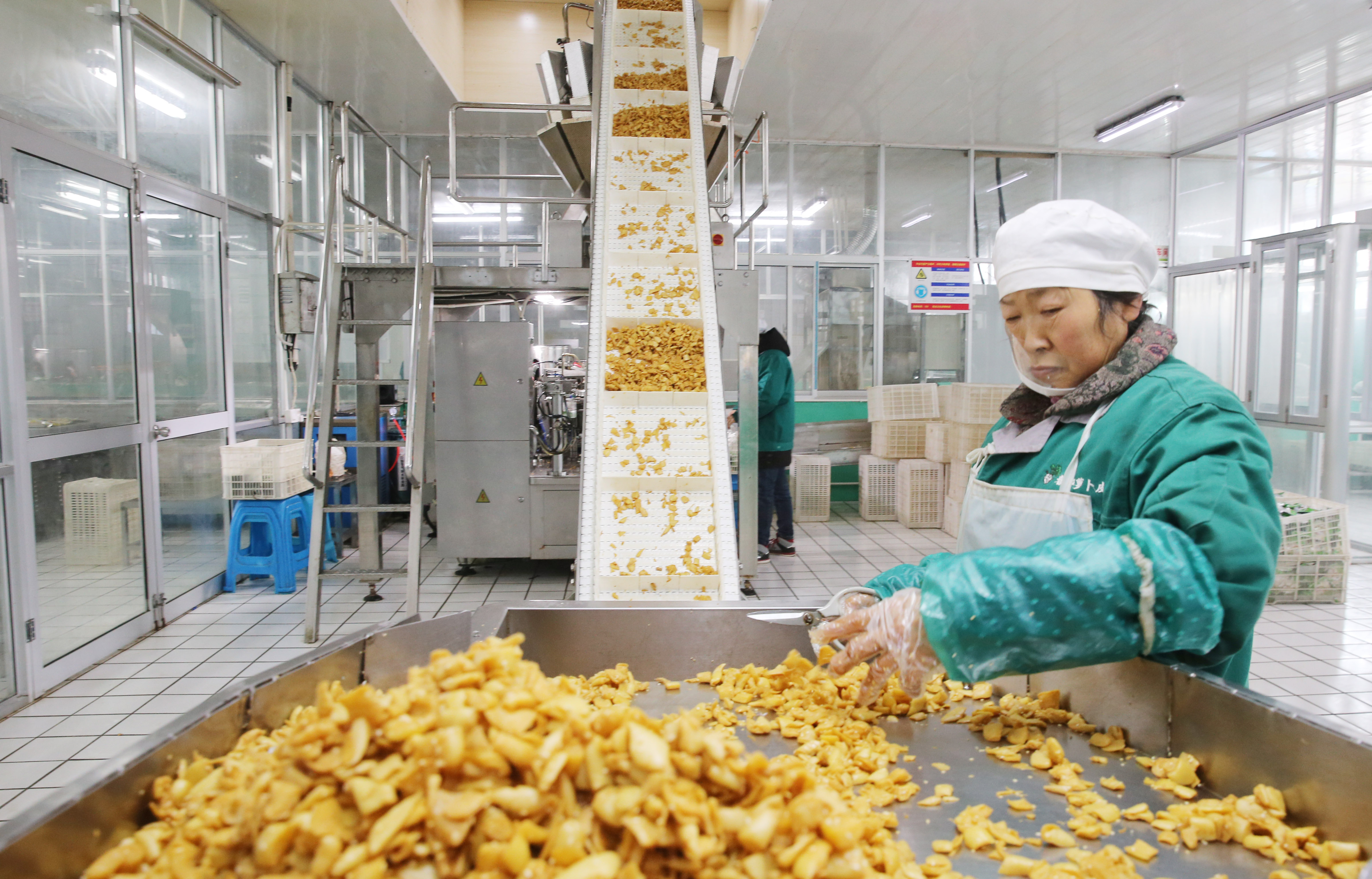 江苏如皋:小萝卜深加工促增收