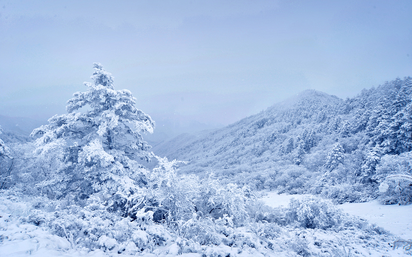 「大美秦岭39」药子梁喜看秦岭雪,跨年游探秘倒军荡