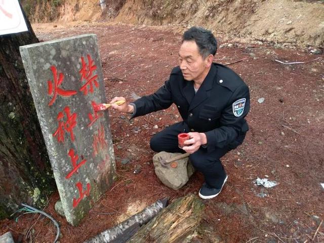 林海之根 松筠之节—泰顺县乌岩岭护林员何振洪荣获"2018感动温州