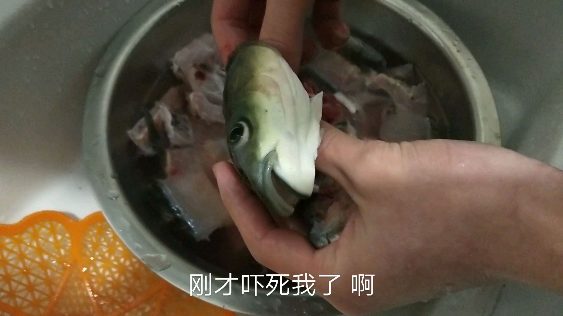 小伙第一次尝试做酸菜鱼,一条鱼15,料12,鱼头竟然还会自己动