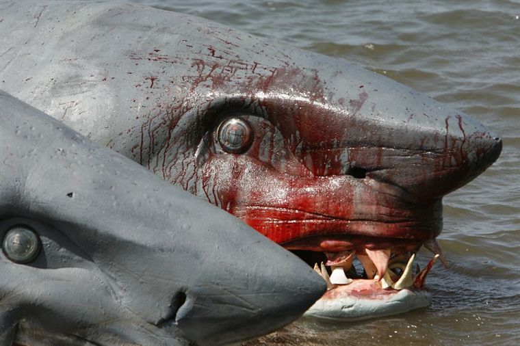 盘点《夺命鲨》系列电影中的鲨鱼,双头鲨鱼一直到六头鲨鱼