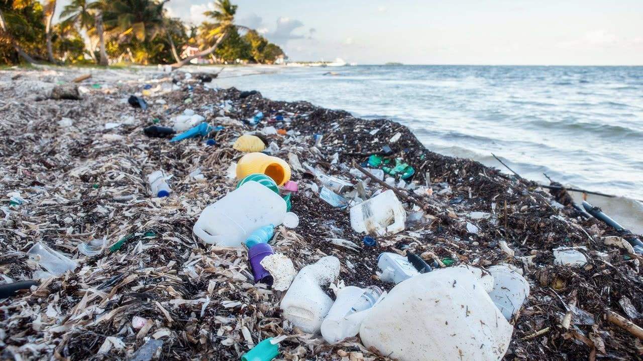 在近两年变成了"塑料垃圾岛.