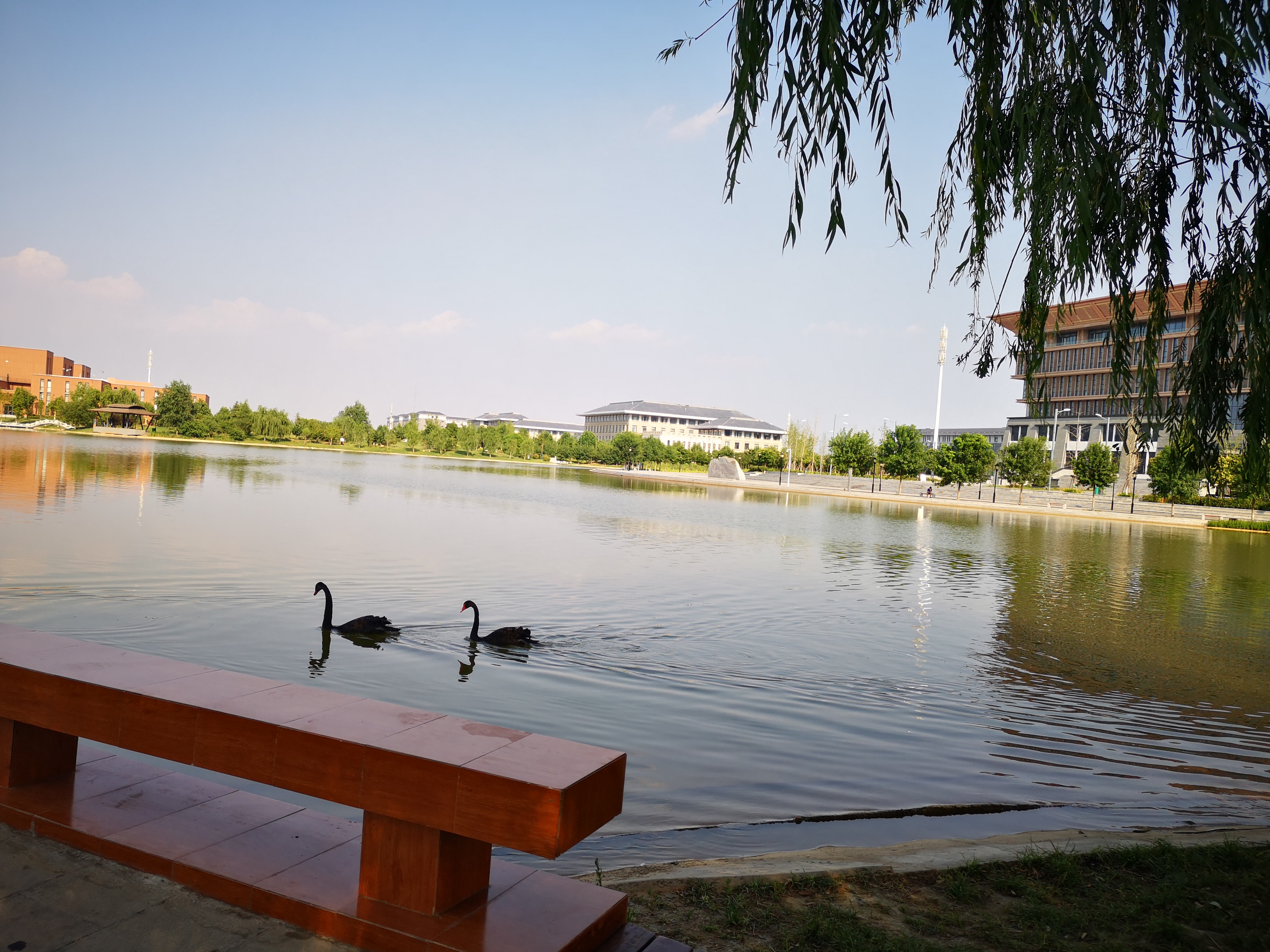 洛阳师范大学校园风光图片