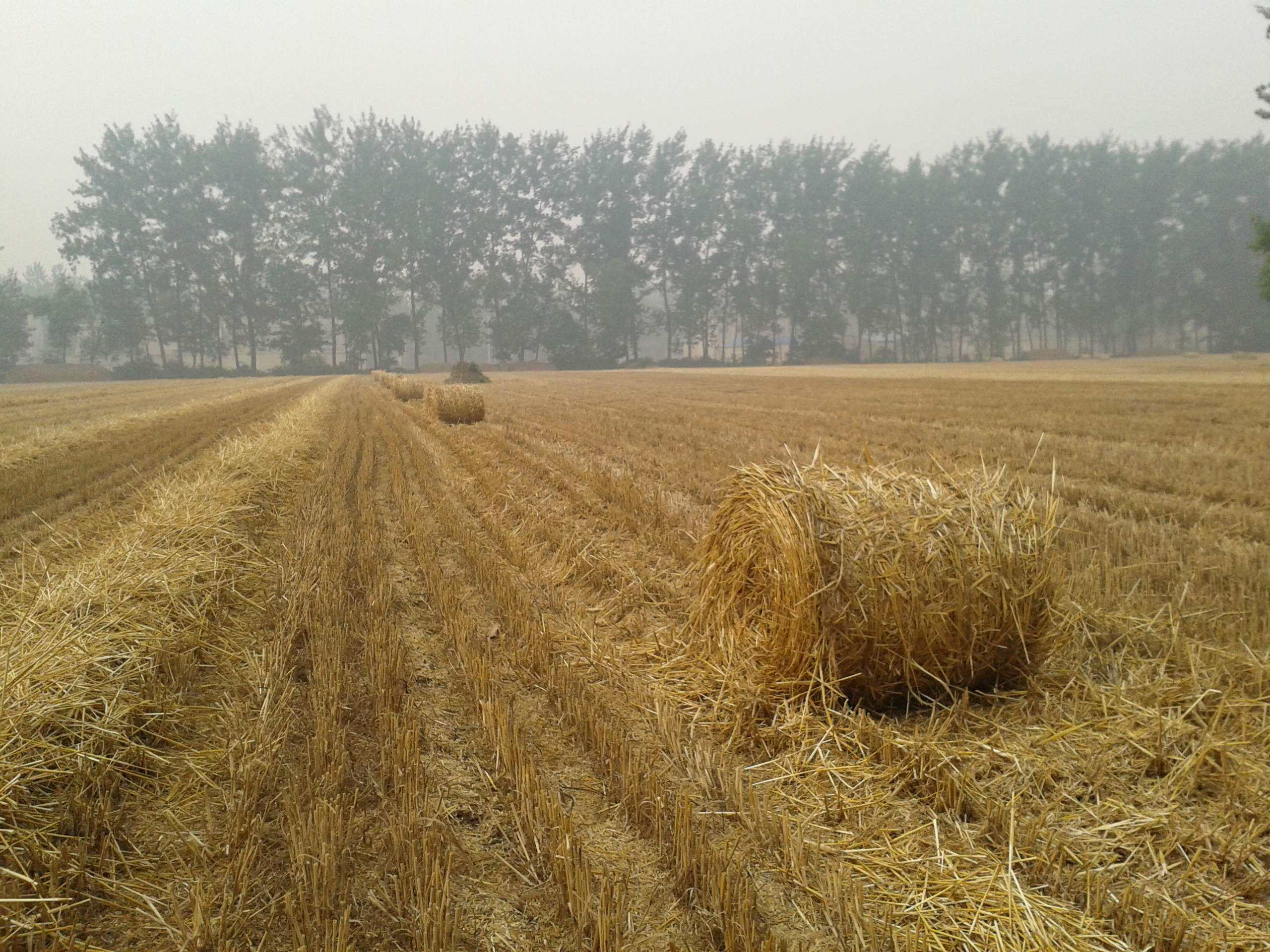 秸秆腐熟返田有什么好处