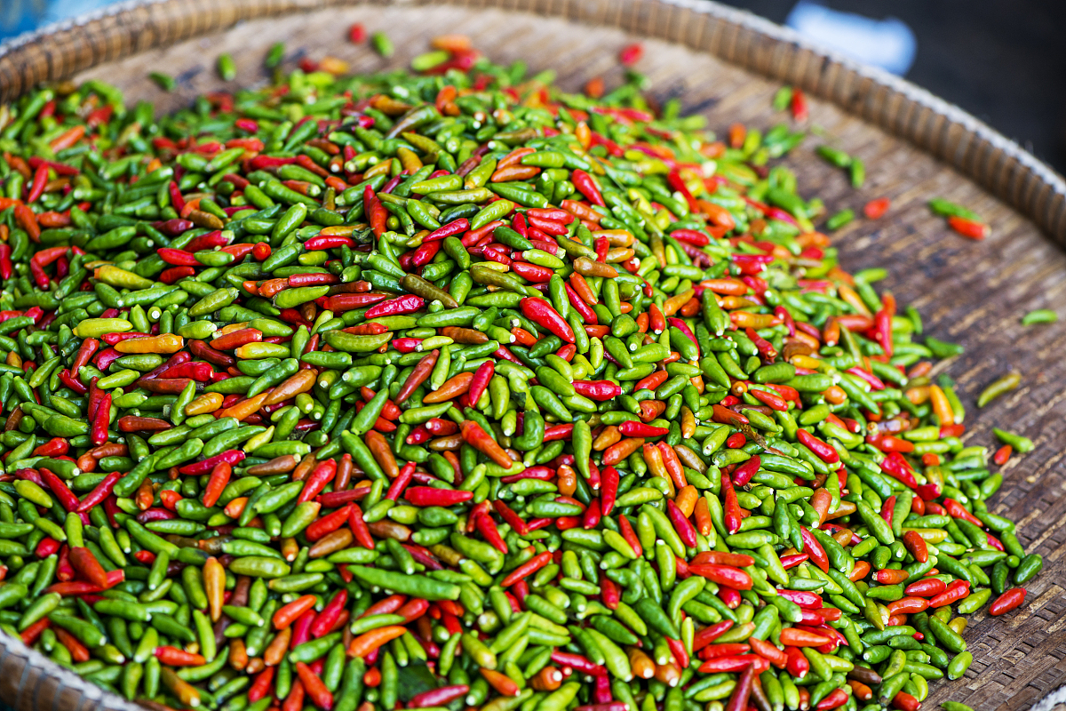 作为一道不可或缺的开胃小菜,宜宾芽菜不仅美味可口,更承载着宜宾这座