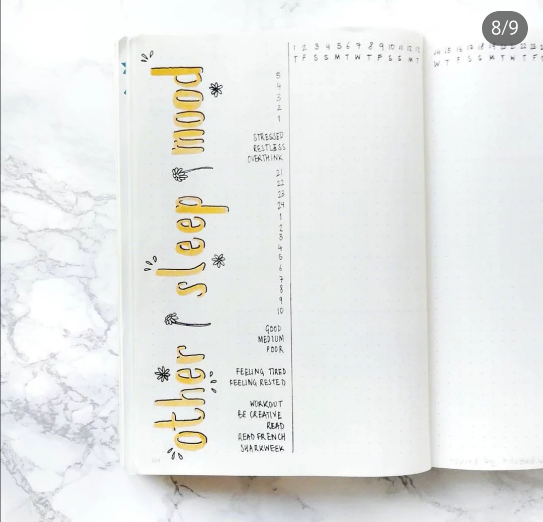 一组超美的小雏菊手帐排版分享~超适合用在春天的手帐不是吗?