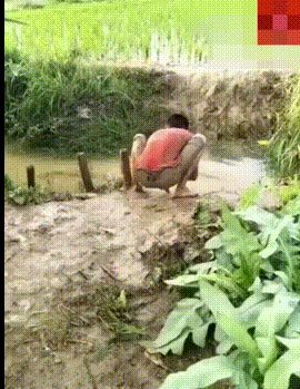 搞笑gif:你们是猴子请来的逗比吧