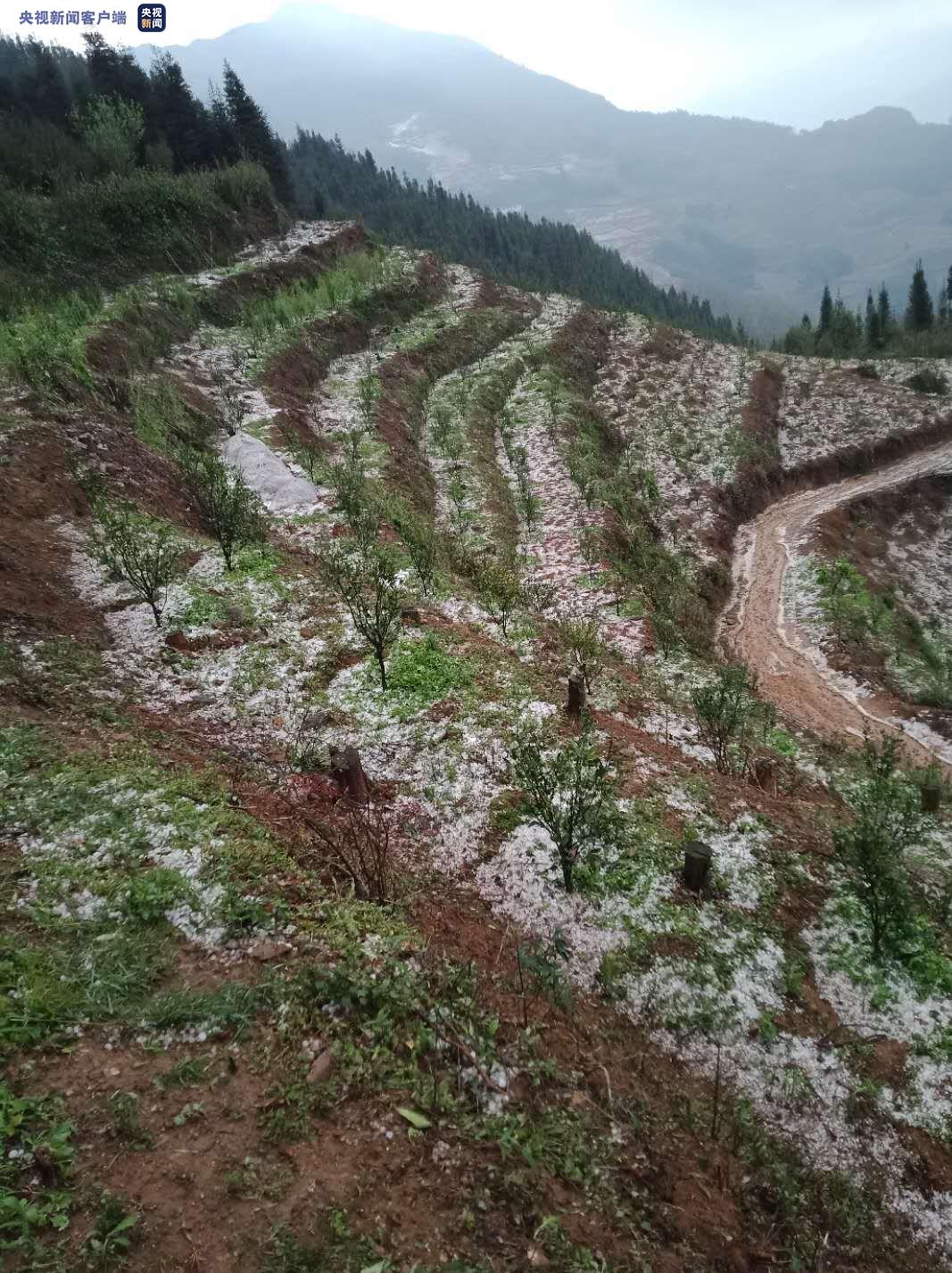 云南冰雹灾害图片