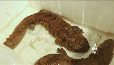 海鲜小超市,这个夏末的海鲜自由,让他给你实现!