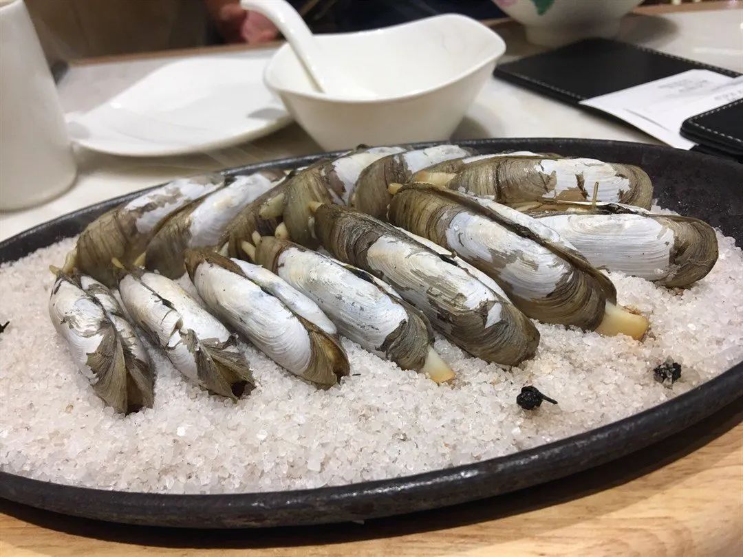 蛤蜊,蛏子,毛蚶,蚬子,那些好吃的小贝壳,今天一次搞清楚