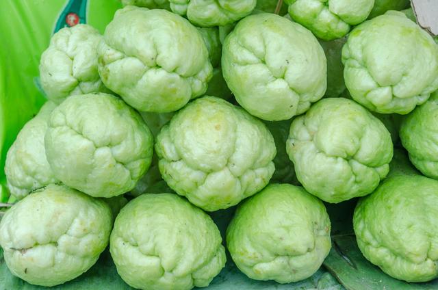 南菜北栽,佛手瓜北方保护地栽培病虫害少,做好管理也可以高产