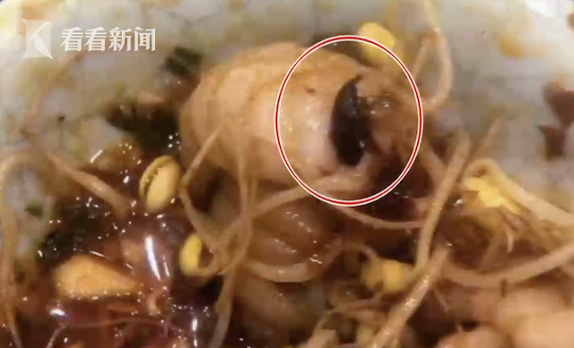 顾客火锅内吃出苍蝇获免单 但被一个举动气坏!