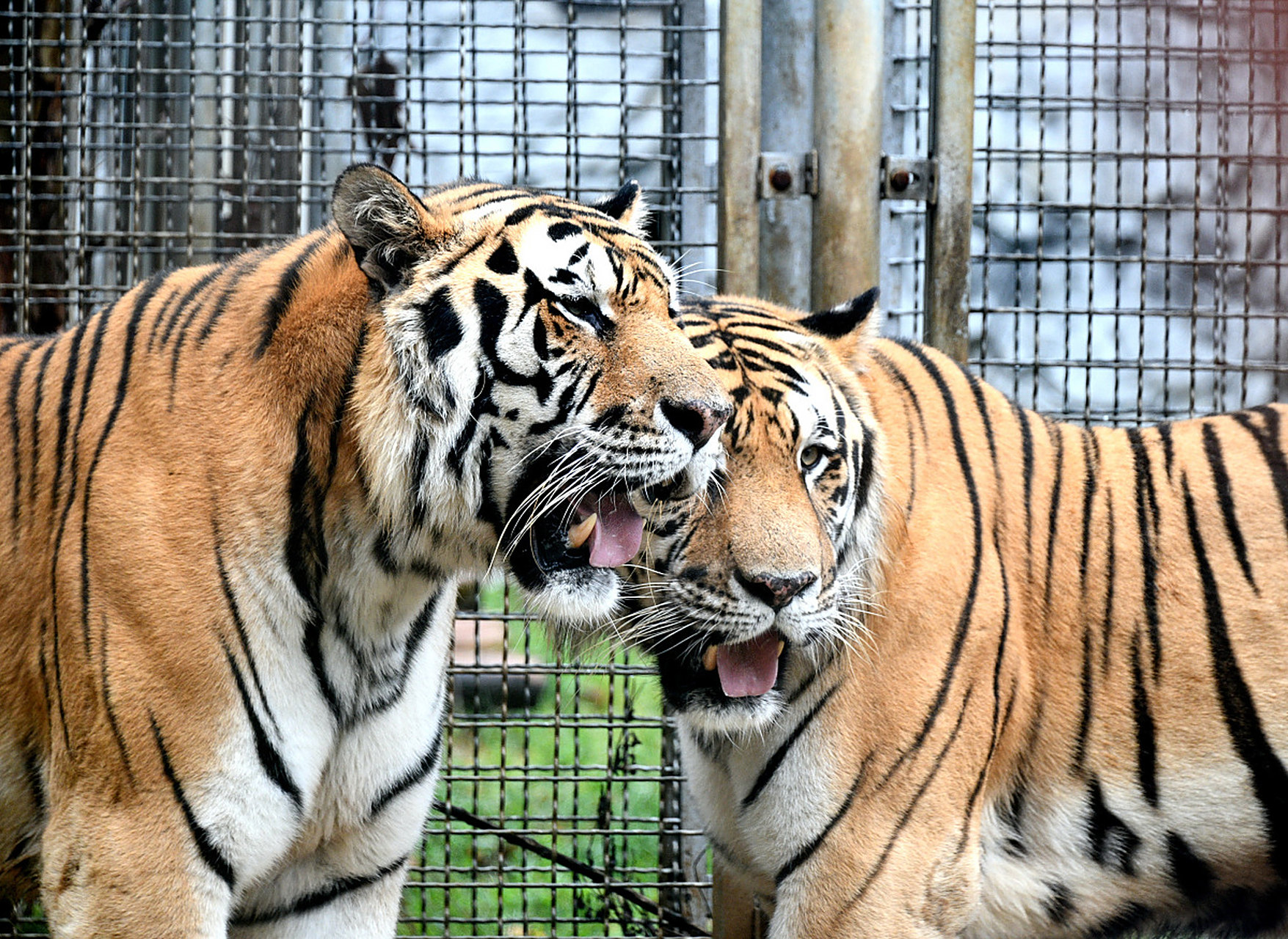 黔灵山公园位于贵州省贵阳市,是一座集自然景观,人文景观和动物资源于
