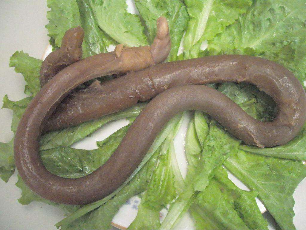 牛鞭真的有壮阳的功效么,要怎么做才好吃