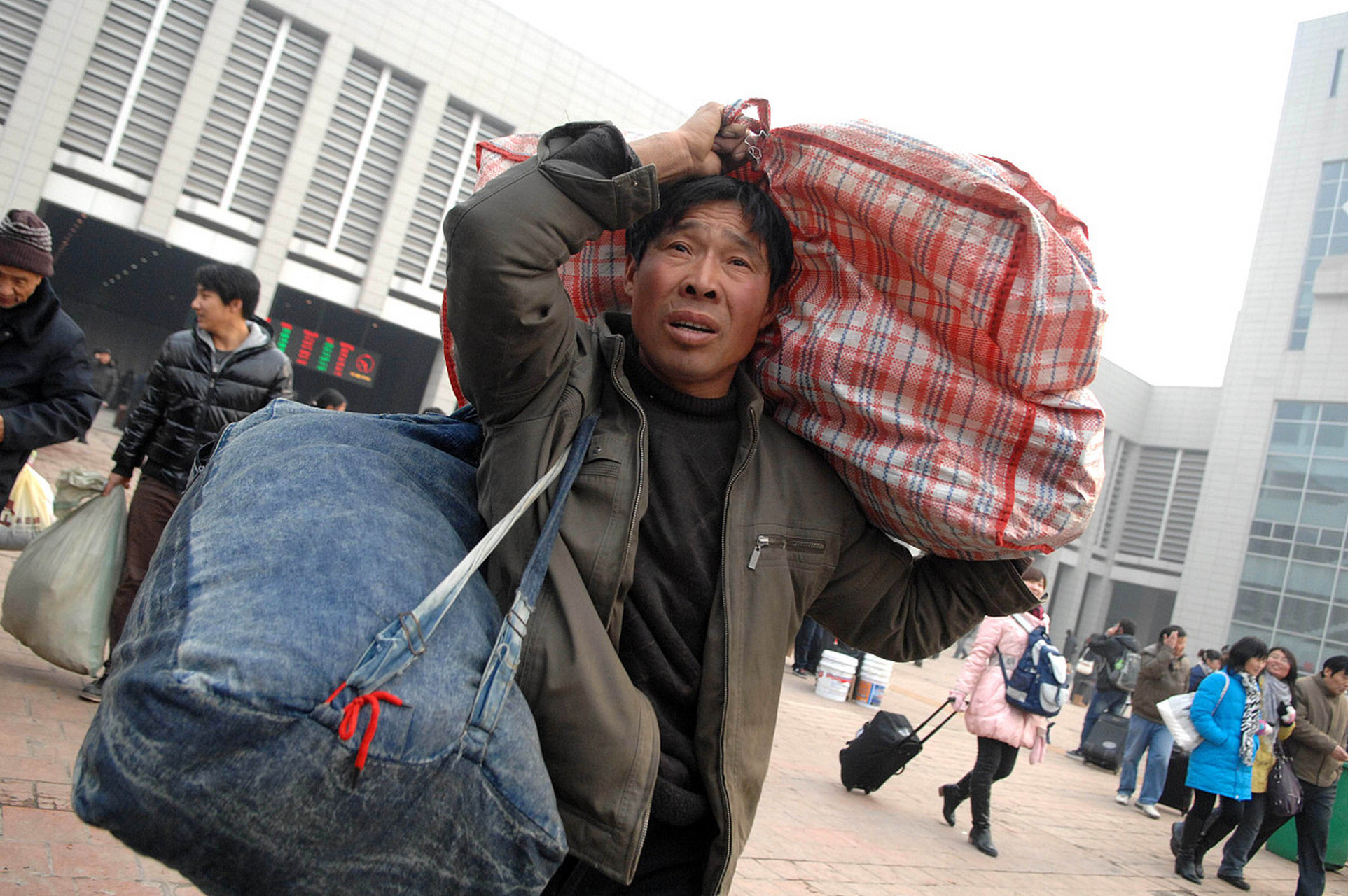 上班路上,狗见了我都得蹲着走