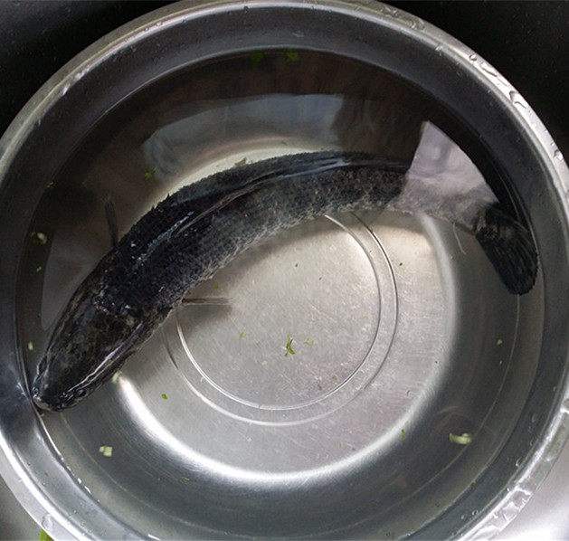 8个月宝宝冬季辅食吃它营养高,促进大脑和神经系统发育