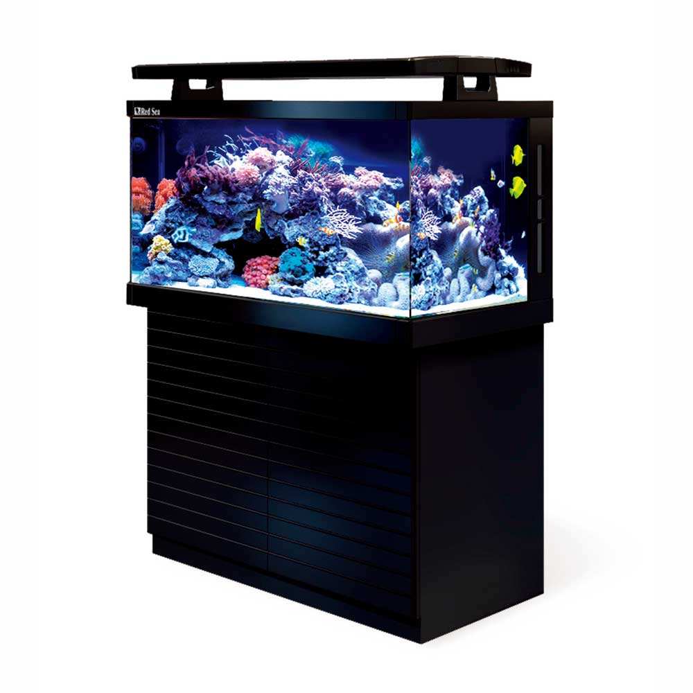 鱼缸备 - 热门商品专区