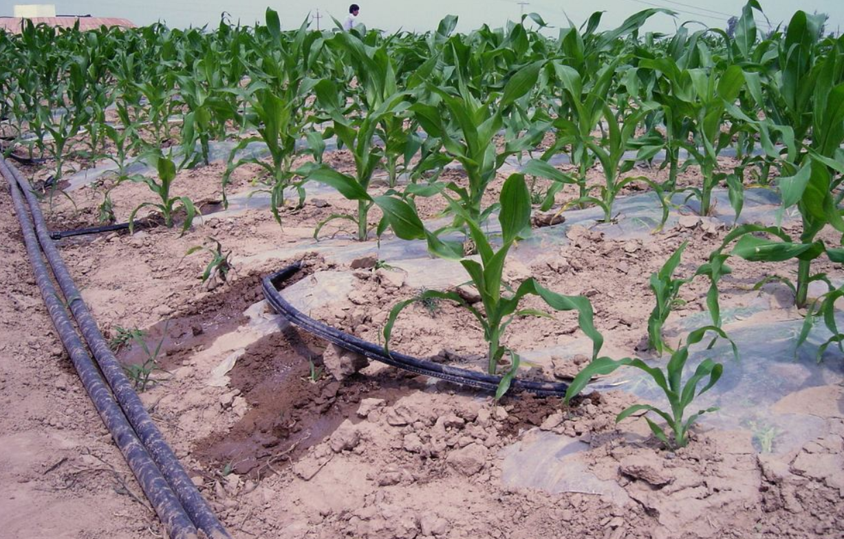 农作物滴灌 - 2020年最新商品信息聚合专区 - 百度爱采购