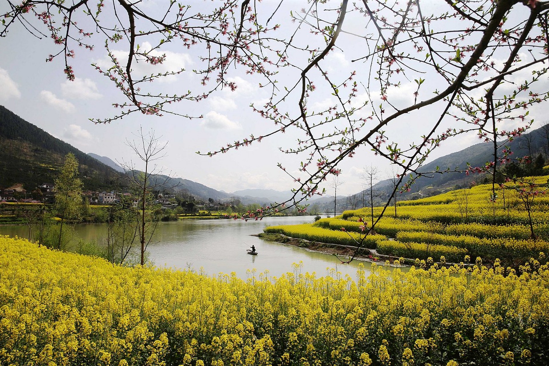 镜头里的春天# 台州临海涌泉镇的春天是一幅动人的画卷,尤其是当梨花