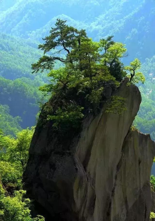 洛阳嵩县免费景区图片