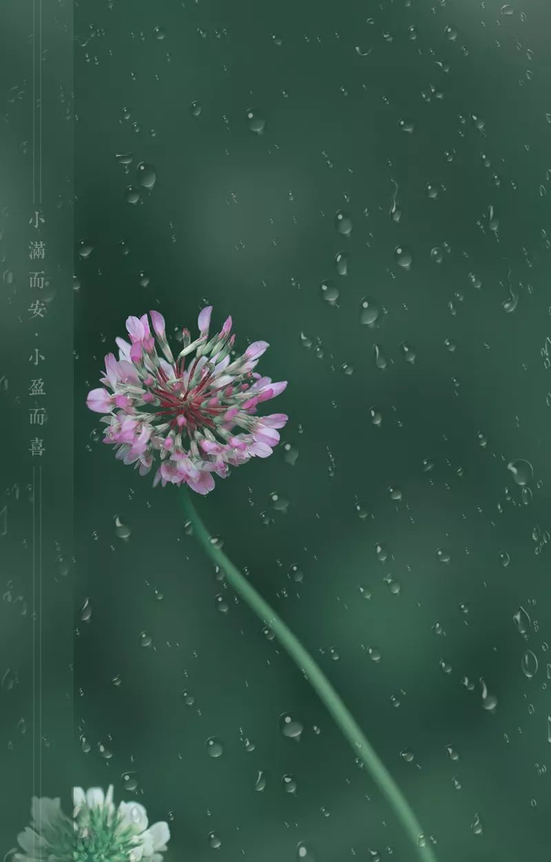 【听】新雨