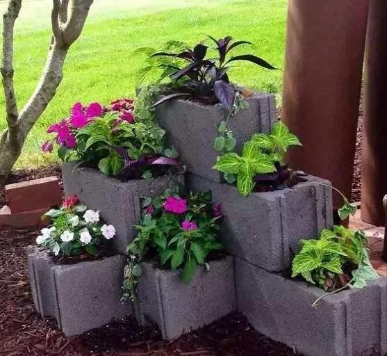砖头的用途可不少,用来"养花造景"真不错,样子美到爆