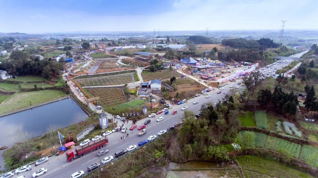 绵阳市安州区"幸福七里"第二届桃花节 3月24日盛大开幕啦!