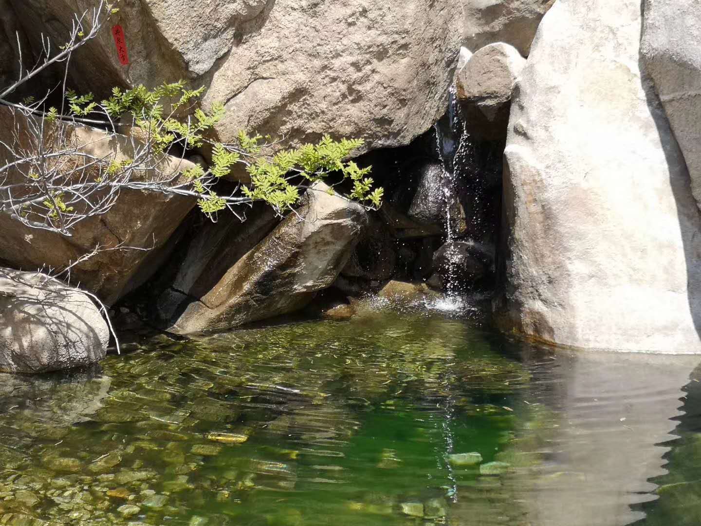 新泰风物|灵崖谷的巅水汪|向秋