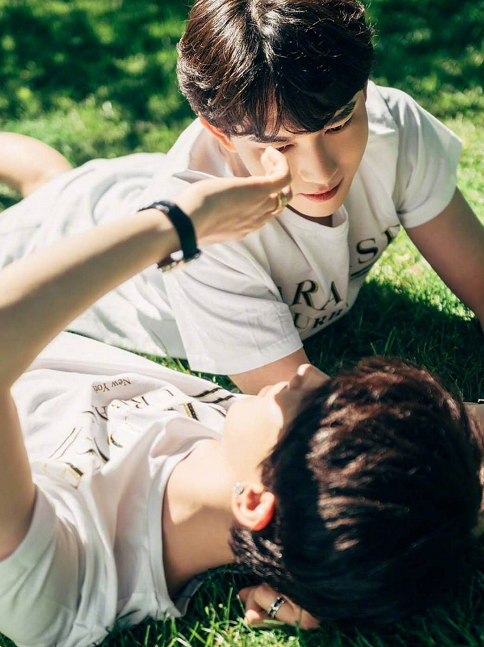 我以为"镇魂cp"已经够甜了,直到我看到沐浴在阳光下的沈氏夫夫