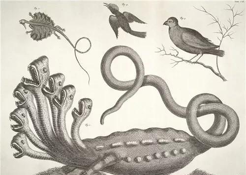 西游记里的九头虫是什么,有出处吗?