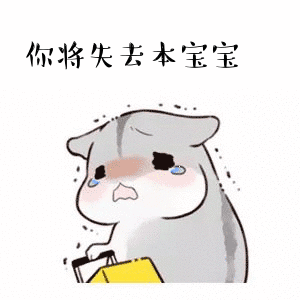 妹子晒照炫耀自己养的两只仓鼠真可爱,我看了眼,感觉以后要出事