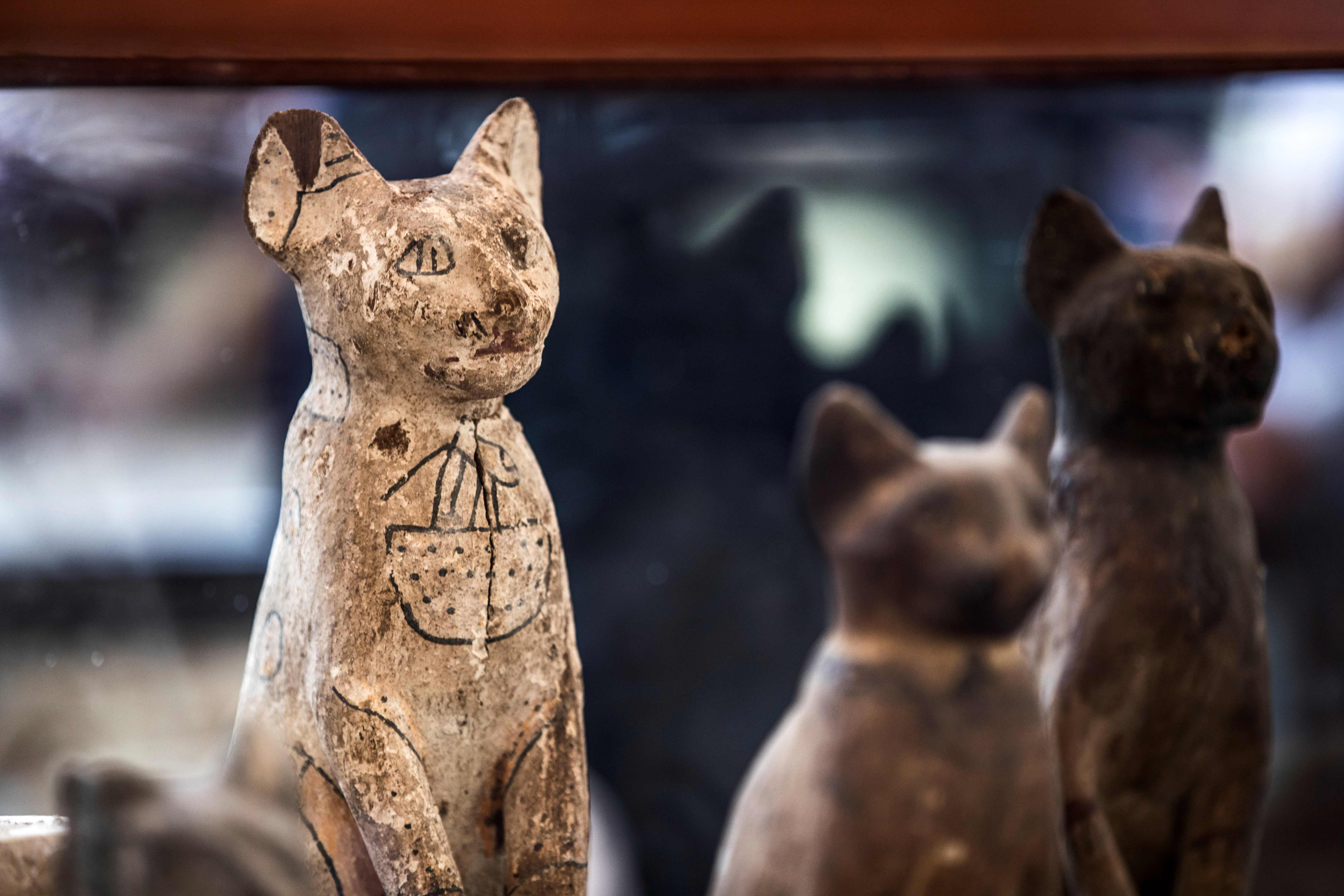 埃及塞加拉发现数十具距今约2700年的动物木乃伊(2)