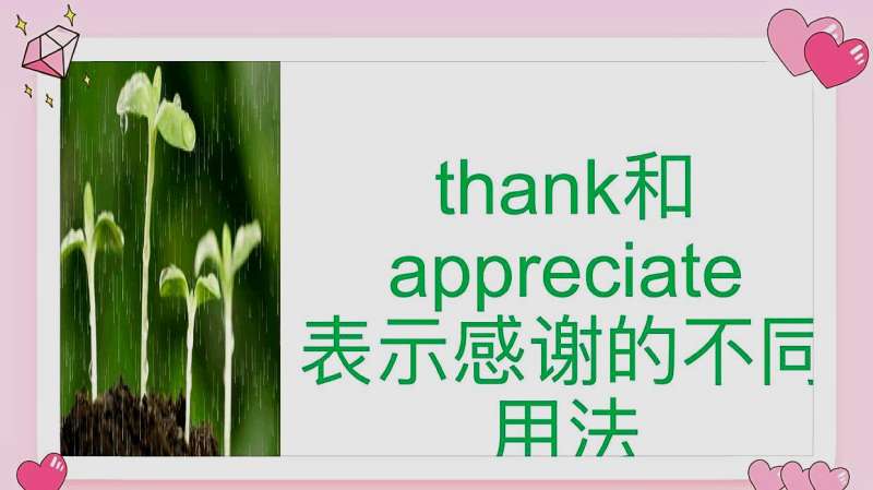 thank和appreciate表示“感谢”的不同用法,教育,兴趣学习,好看视频